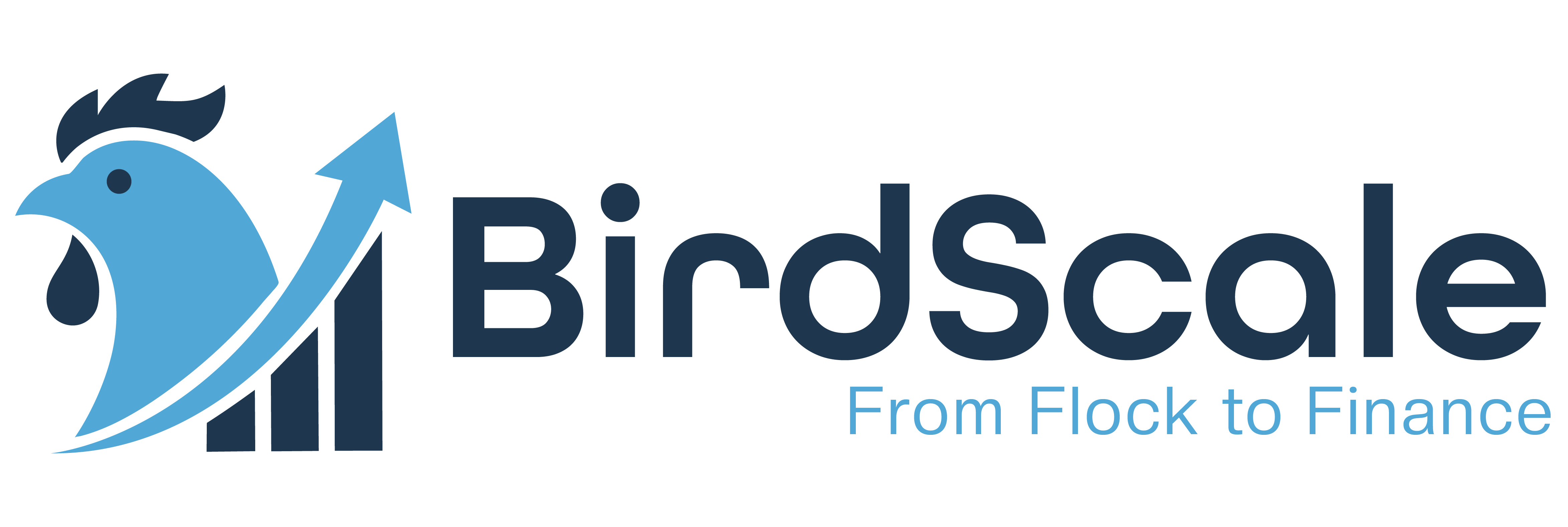 Bird Scale